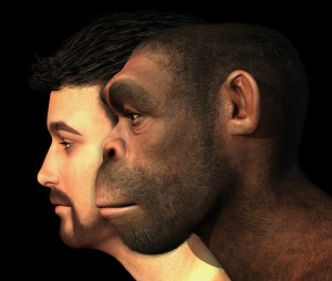 Evoluzione barba
