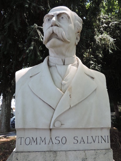 Tommaso Salvini